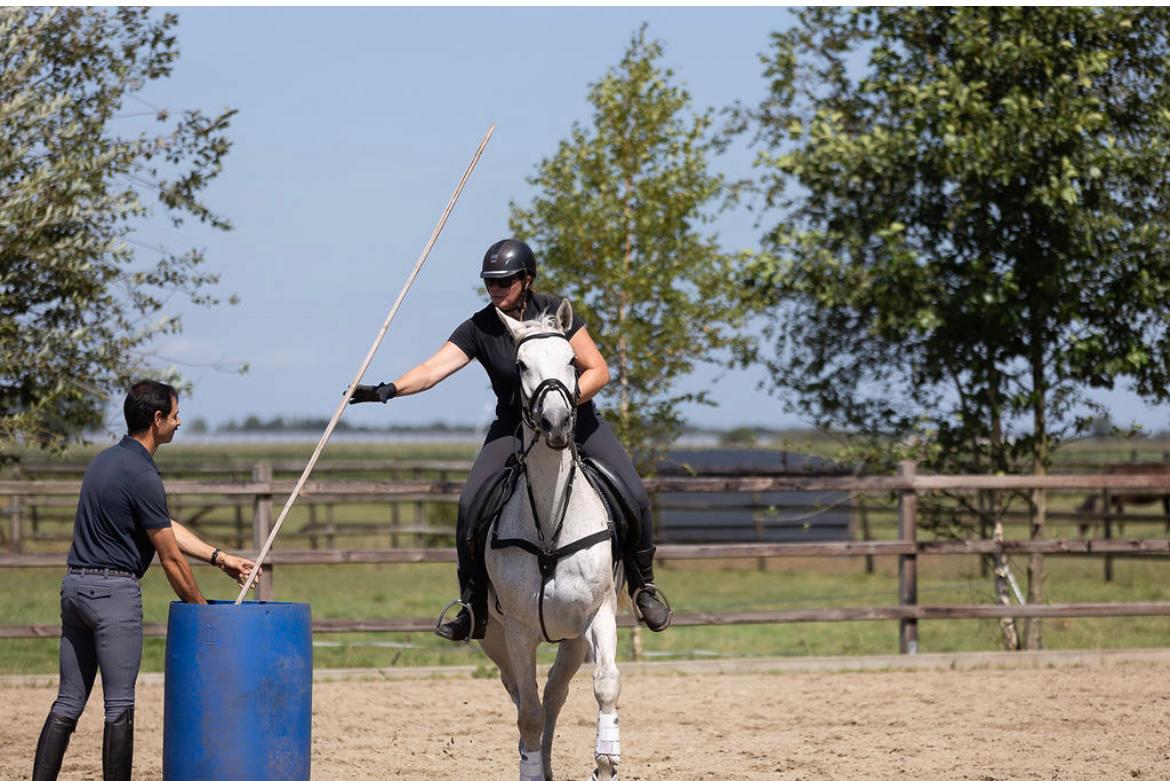 Working Equitation foto 3